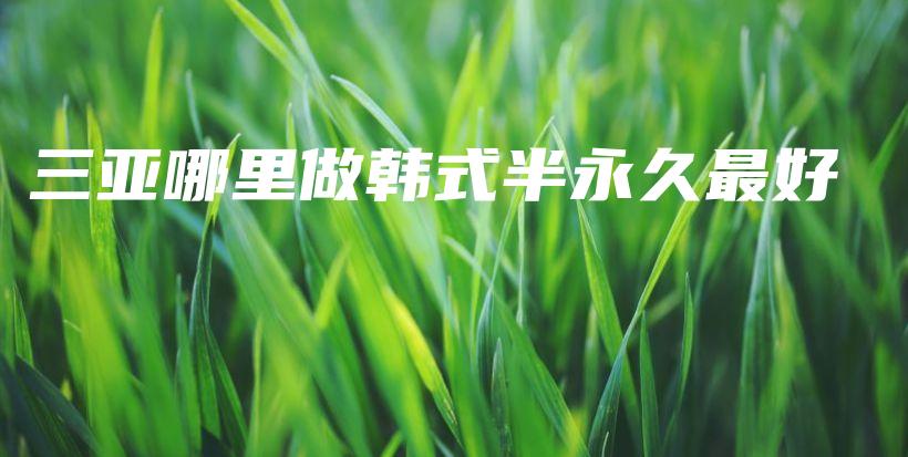 三亞哪里做韓式半永久最好插圖
