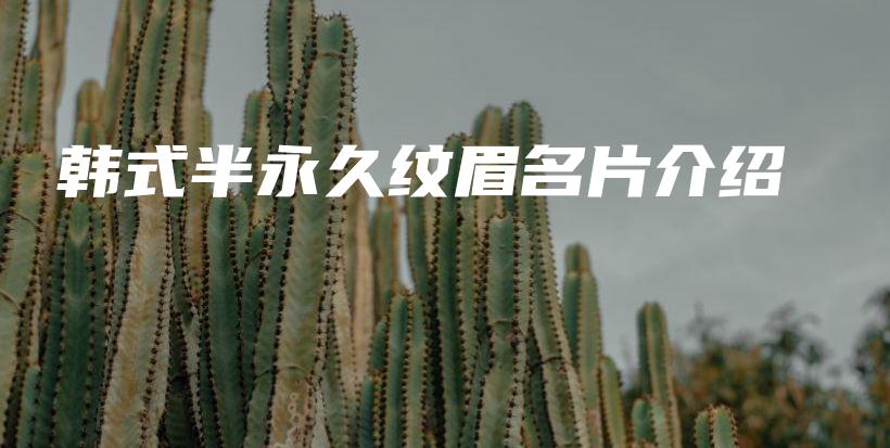 韓式半永久紋眉名片介紹插圖