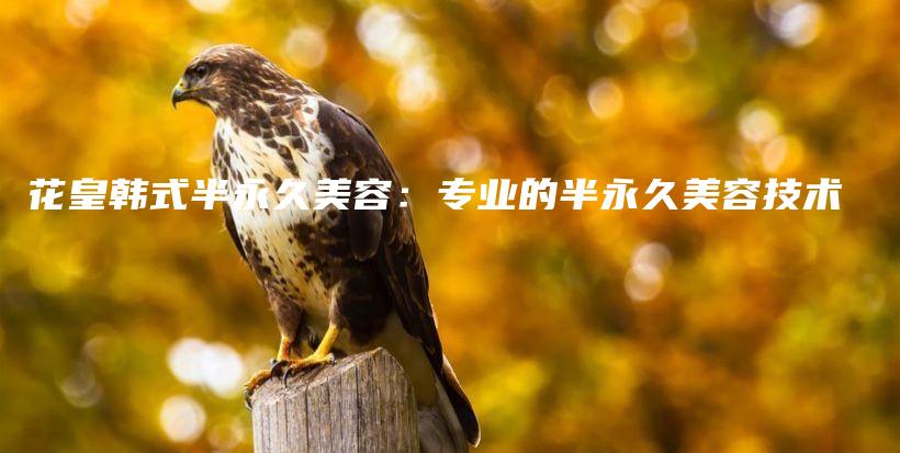 花皇韓式半永久美容：專業(yè)的半永久美容技術(shù)插圖