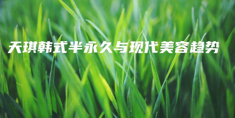天琪韓式半永久與現(xiàn)代美容趨勢插圖