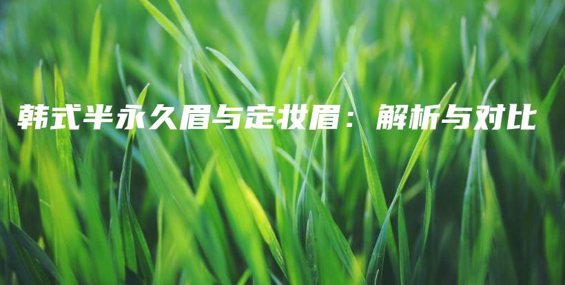 韓式半永久眉與定妝眉：解析與對比插圖