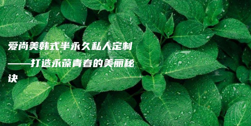 愛尚美韓式半永久私人定制——打造永葆青春的美麗秘訣插圖