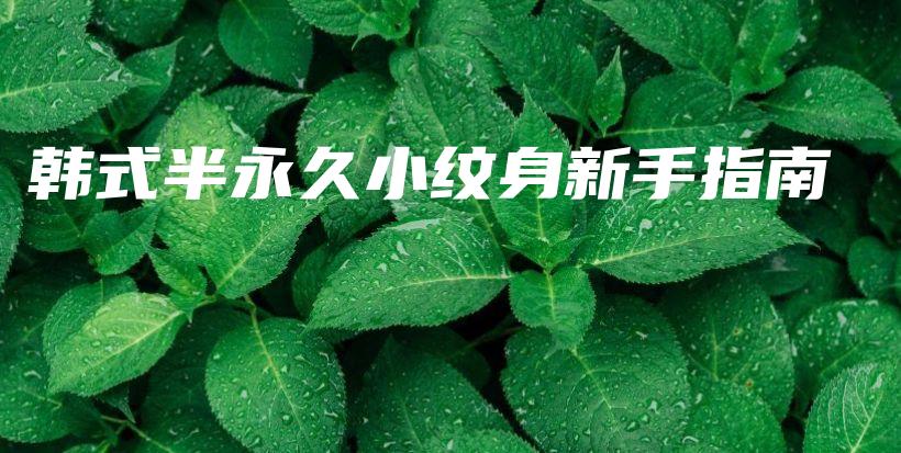 韓式半永久小紋身新手指南插圖