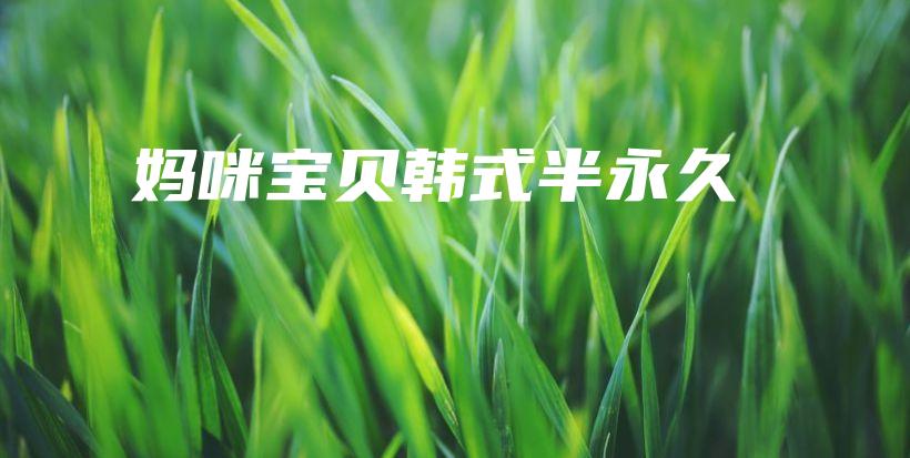 媽咪寶貝韓式半永久插圖