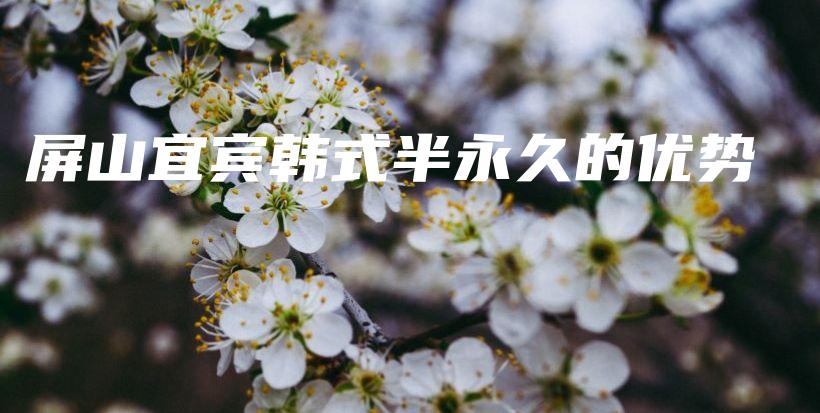 屏山宜賓韓式半永久的優(yōu)勢插圖
