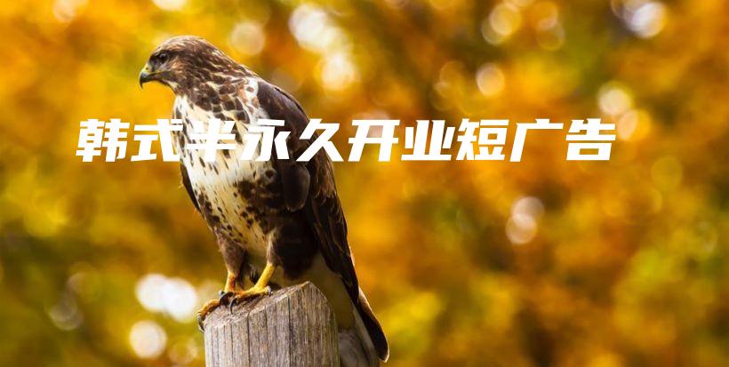 韓式半永久開業(yè)短廣告插圖