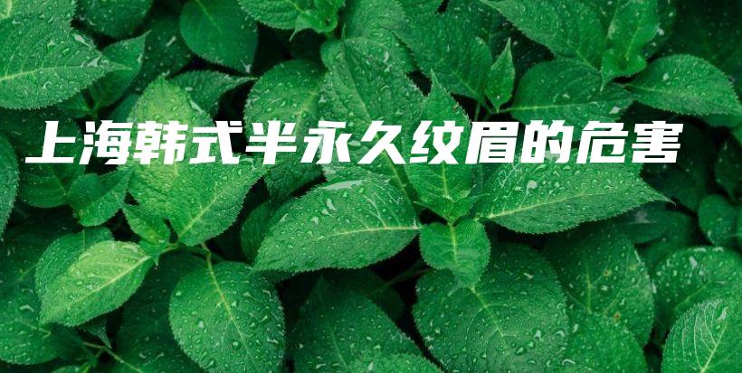上海韓式半永久紋眉的危害插圖