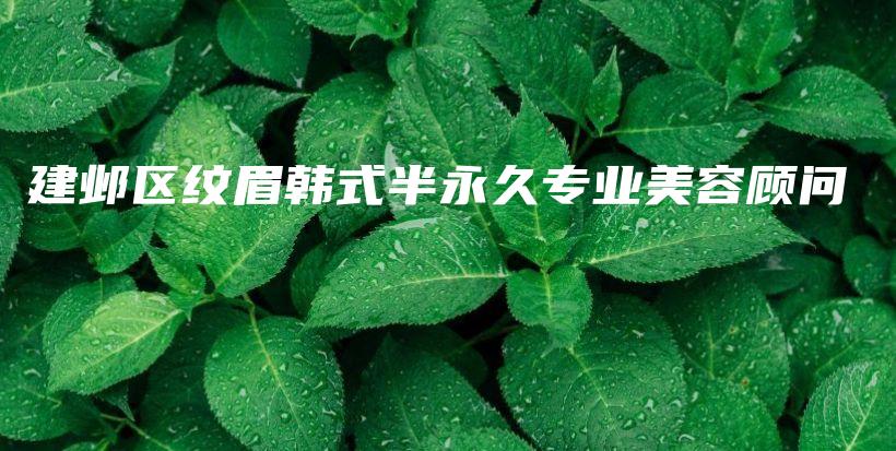 建鄴區(qū)紋眉韓式半永久專業(yè)美容顧問插圖