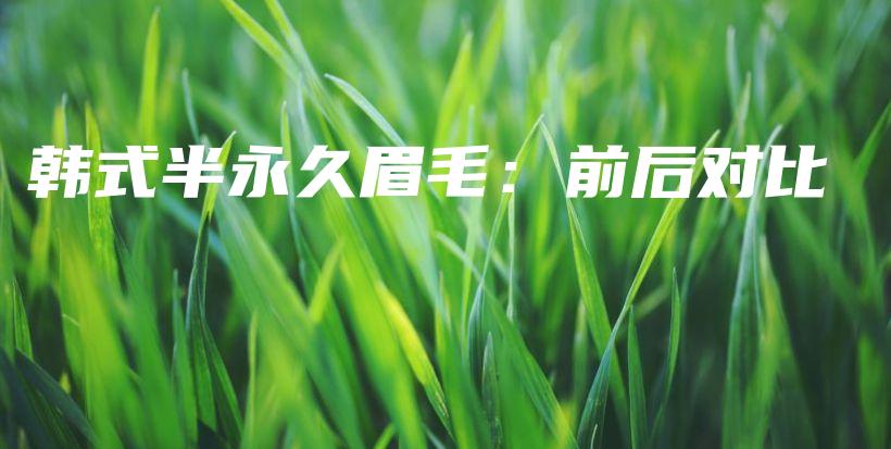 韓式半永久眉毛：前后對比插圖