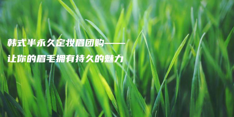 韓式半永久定妝眉團(tuán)購——讓你的眉毛擁有持久的魅力插圖