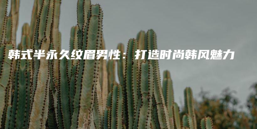韓式半永久紋眉男性：打造時尚韓風魅力插圖