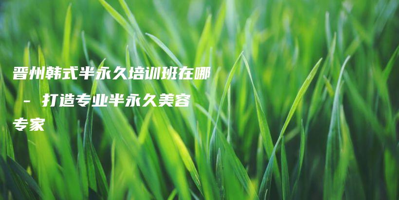 晉州韓式半永久培訓(xùn)班在哪 – 打造專(zhuān)業(yè)半永久美容專(zhuān)家插圖