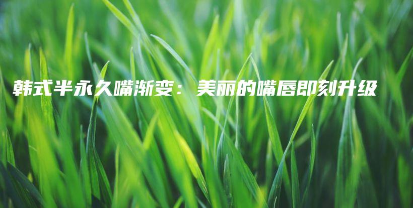 韓式半永久嘴漸變：美麗的嘴唇即刻升級插圖