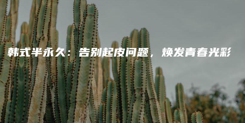 韓式半永久：告別起皮問題，煥發(fā)青春光彩插圖