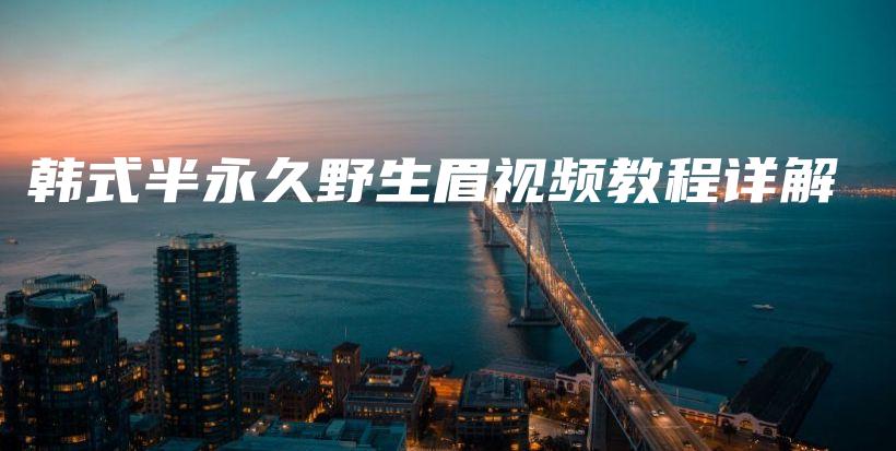 韓式半永久野生眉視頻教程詳解插圖