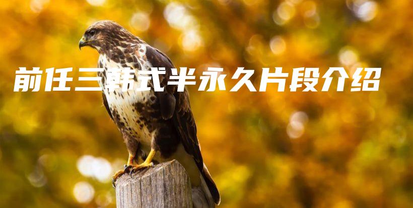 前任三韓式半永久片段介紹插圖