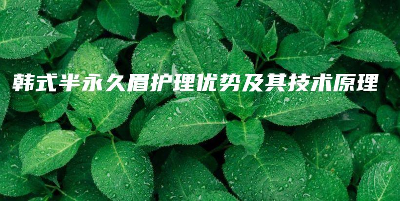 韓式半永久眉護(hù)理優(yōu)勢(shì)及其技術(shù)原理插圖