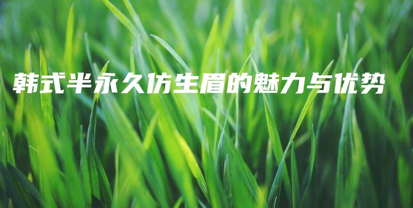 韓式半永久仿生眉的魅力與優(yōu)勢(shì)插圖
