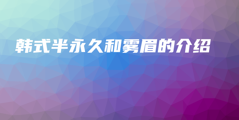 韓式半永久和霧眉的介紹插圖