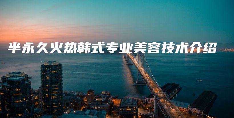 半永久火熱韓式專(zhuān)業(yè)美容技術(shù)介紹插圖