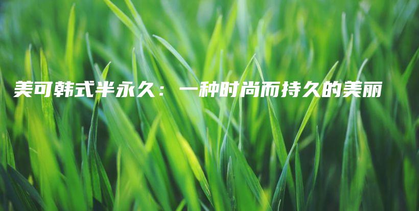 美可韓式半永久：一種時(shí)尚而持久的美麗插圖