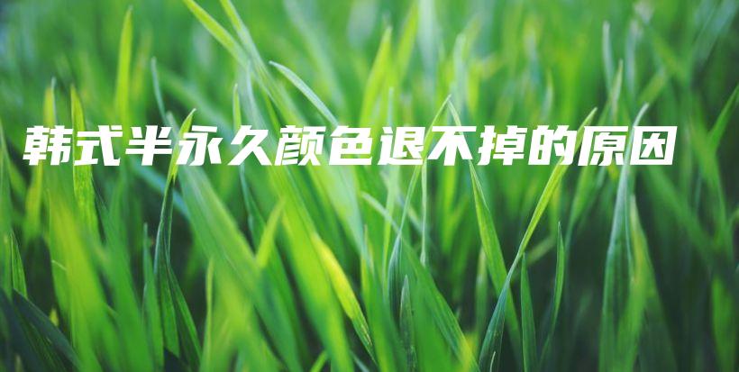 韓式半永久顏色退不掉的原因插圖