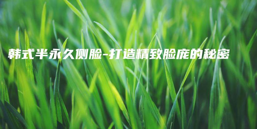韓式半永久側(cè)臉-打造精致臉龐的秘密插圖