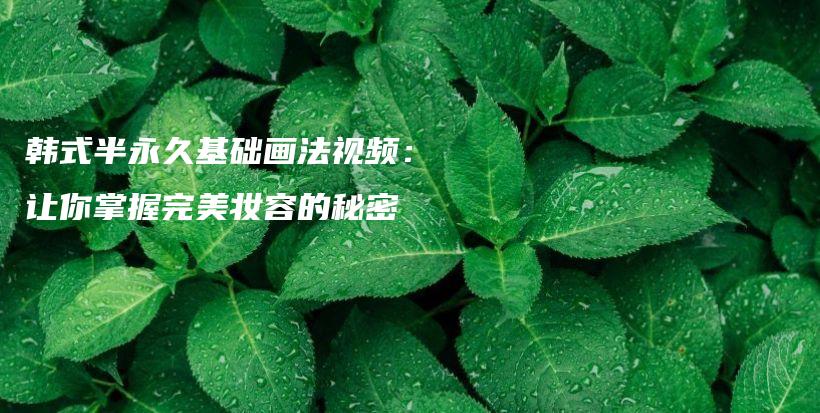 韓式半永久基礎(chǔ)畫法視頻：讓你掌握完美妝容的秘密插圖