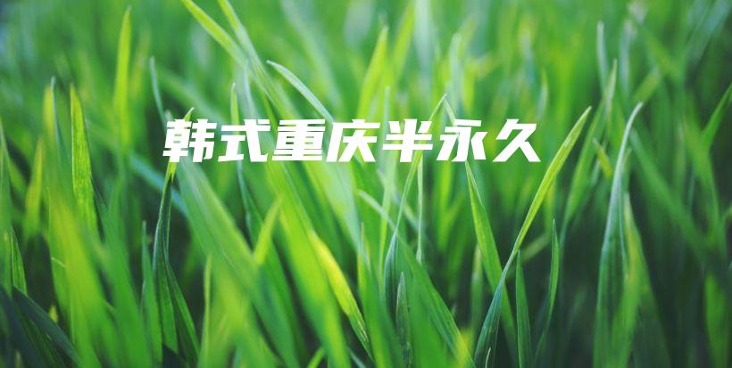韓式重慶半永久插圖