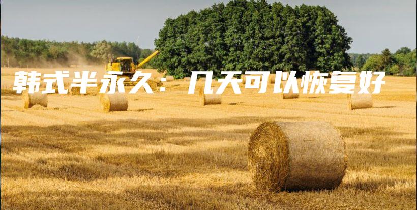 韓式半永久：幾天可以恢復(fù)好插圖