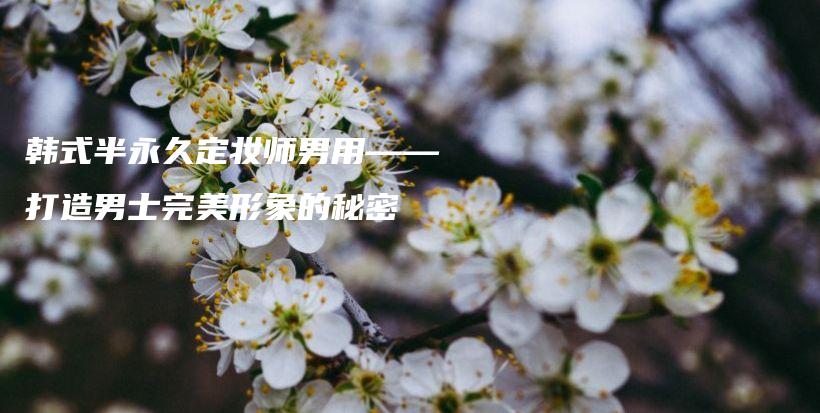 韓式半永久定妝師男用——打造男士完美形象的秘密插圖