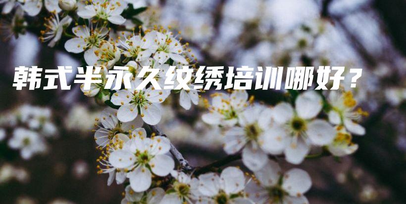 韓式半永久紋繡培訓(xùn)哪好？插圖