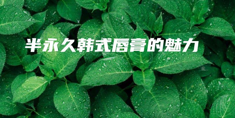 半永久韓式唇膏的魅力插圖