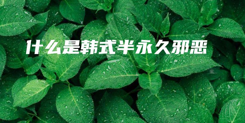 什么是韓式半永久邪惡插圖