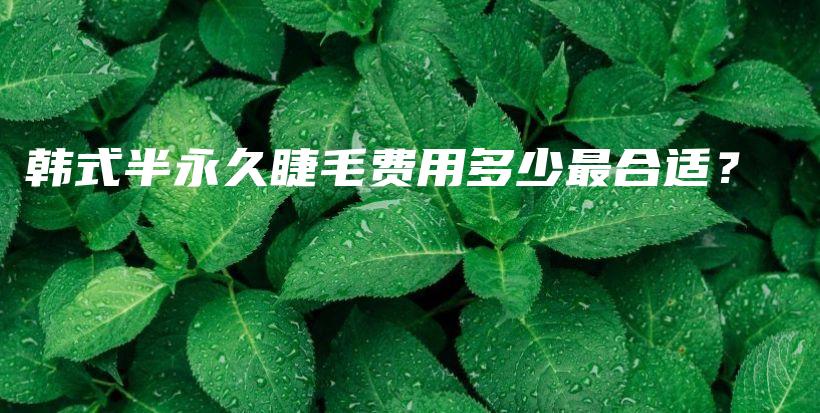 韓式半永久睫毛費用多少最合適？插圖