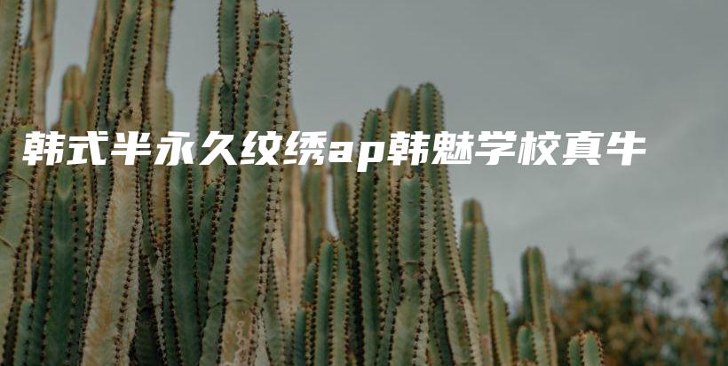 韓式半永久紋繡ap韓魅學(xué)校真牛插圖