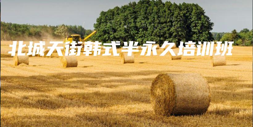 北城天街韓式半永久培訓(xùn)班插圖