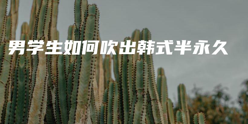 男學(xué)生如何吹出韓式半永久插圖