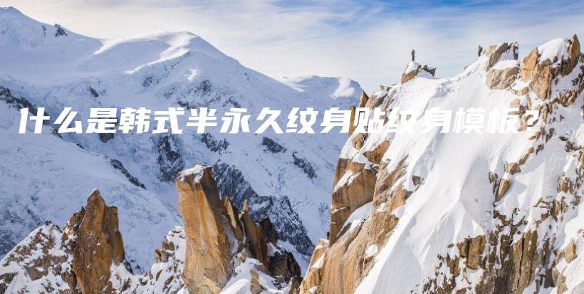 什么是韓式半永久紋身貼紋身模板？插圖