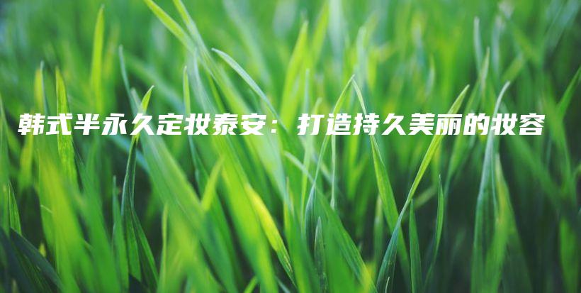 韓式半永久定妝泰安：打造持久美麗的妝容插圖