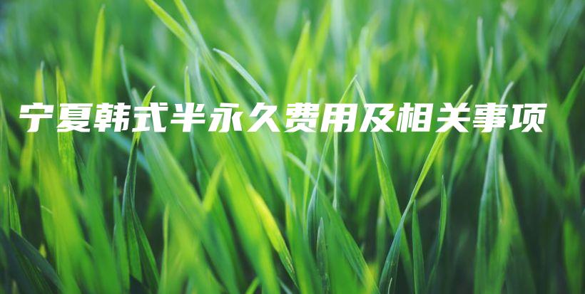 寧夏韓式半永久費用及相關(guān)事項插圖