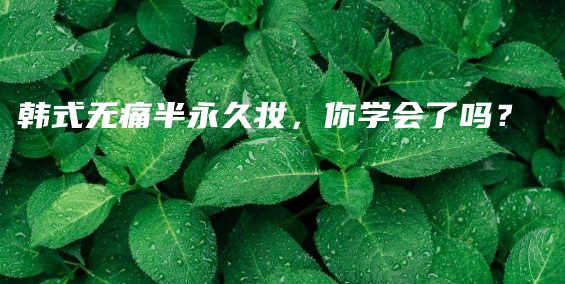 韓式無痛半永久妝，你學(xué)會了嗎？插圖