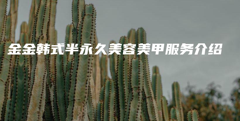 金金韓式半永久美容美甲服務(wù)介紹插圖