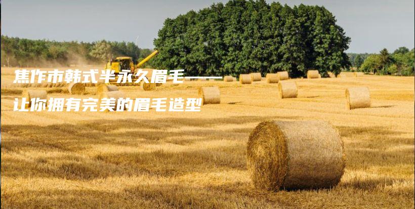 焦作市韓式半永久眉毛——讓你擁有完美的眉毛造型插圖