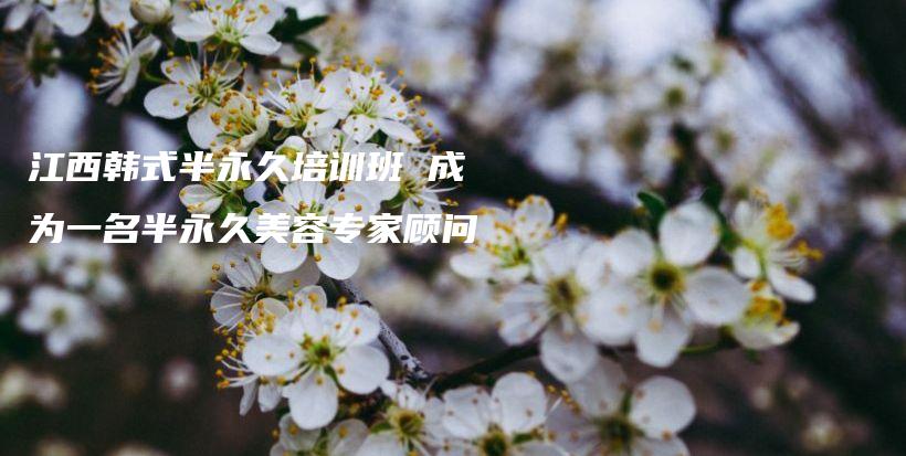 江西韓式半永久培訓(xùn)班 成為一名半永久美容專家顧問插圖