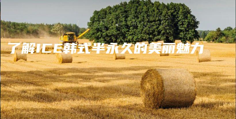 了解ICE韓式半永久的美麗魅力插圖