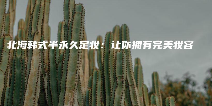 北海韓式半永久定妝：讓你擁有完美妝容插圖