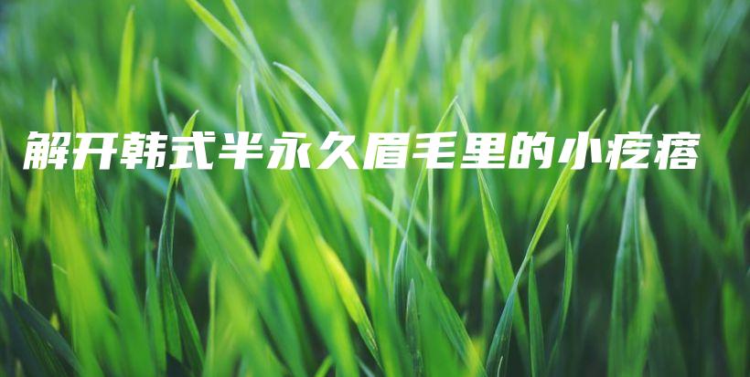 解開(kāi)韓式半永久眉毛里的小疙瘩插圖