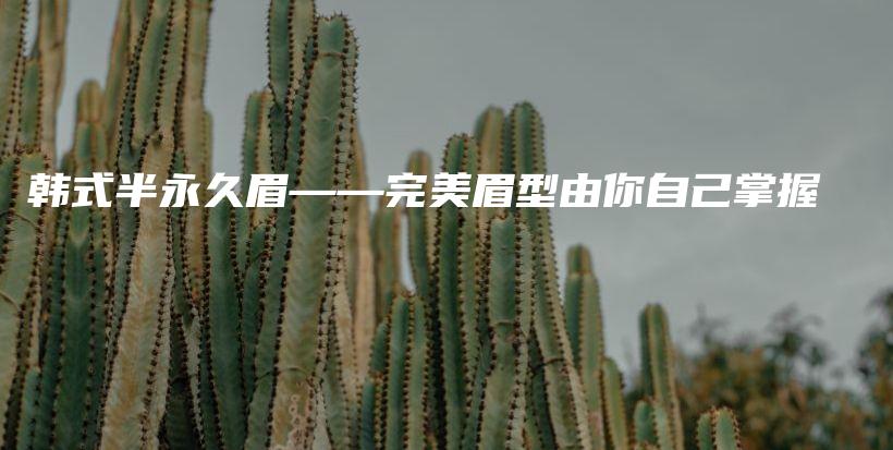 韓式半永久眉——完美眉型由你自己掌握插圖