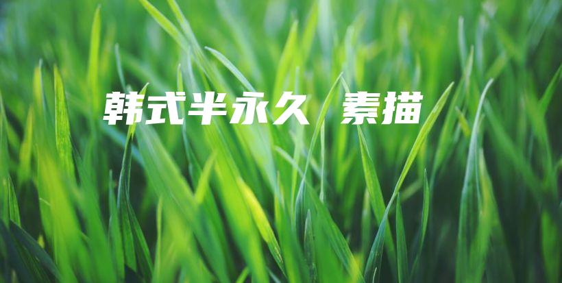 韓式半永久 素描插圖